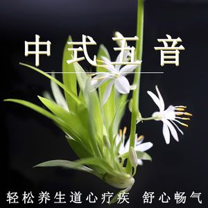玖草在线播放
